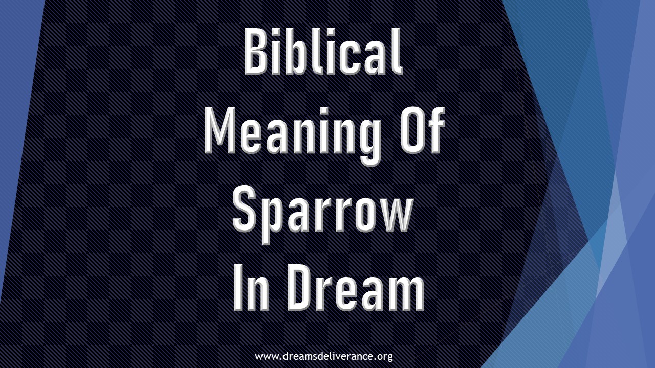 Biblical Meaning Of Sparrow In Dream