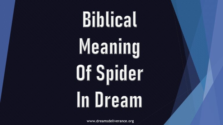 Biblical Meaning Of Spider In Dream