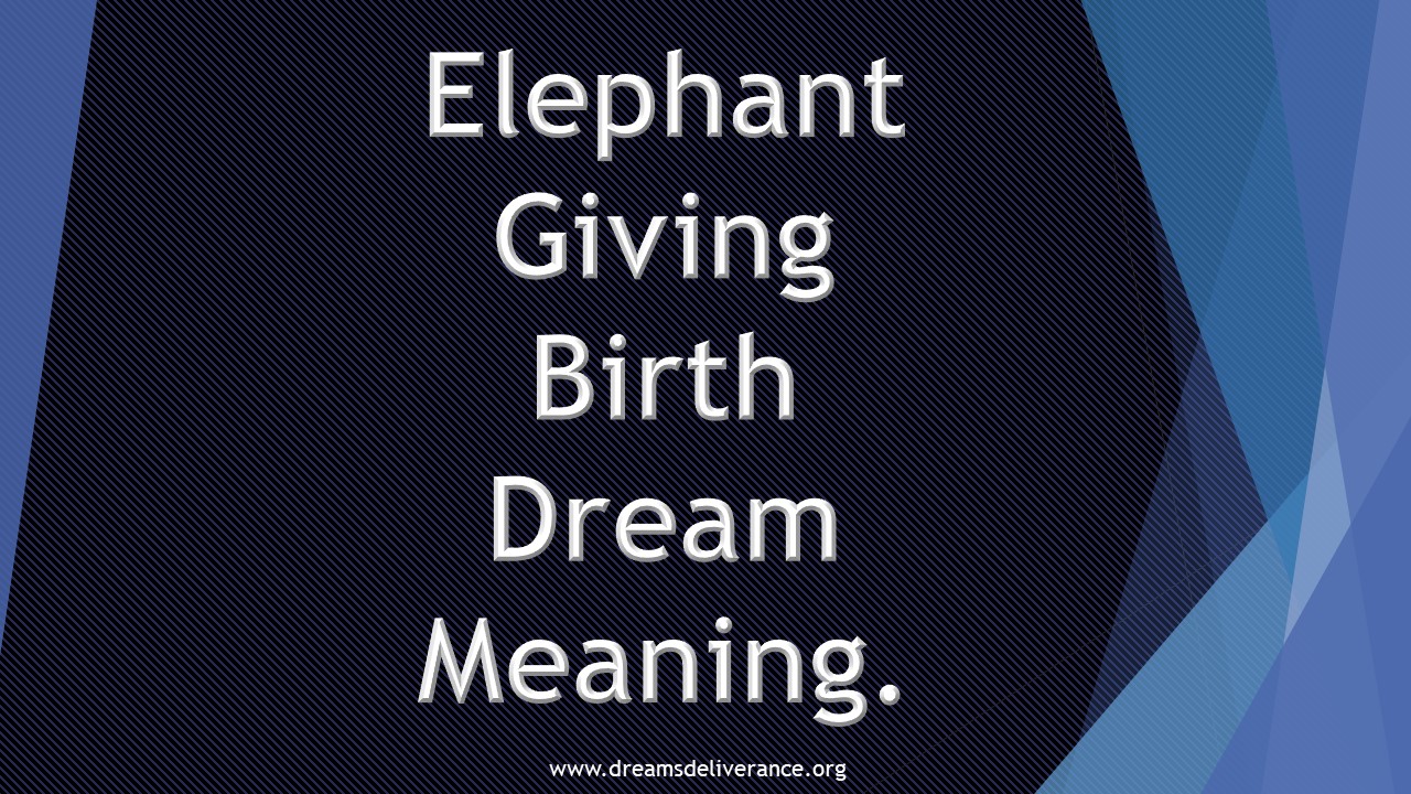 Elephant Giving Birth Dream Meaning.
