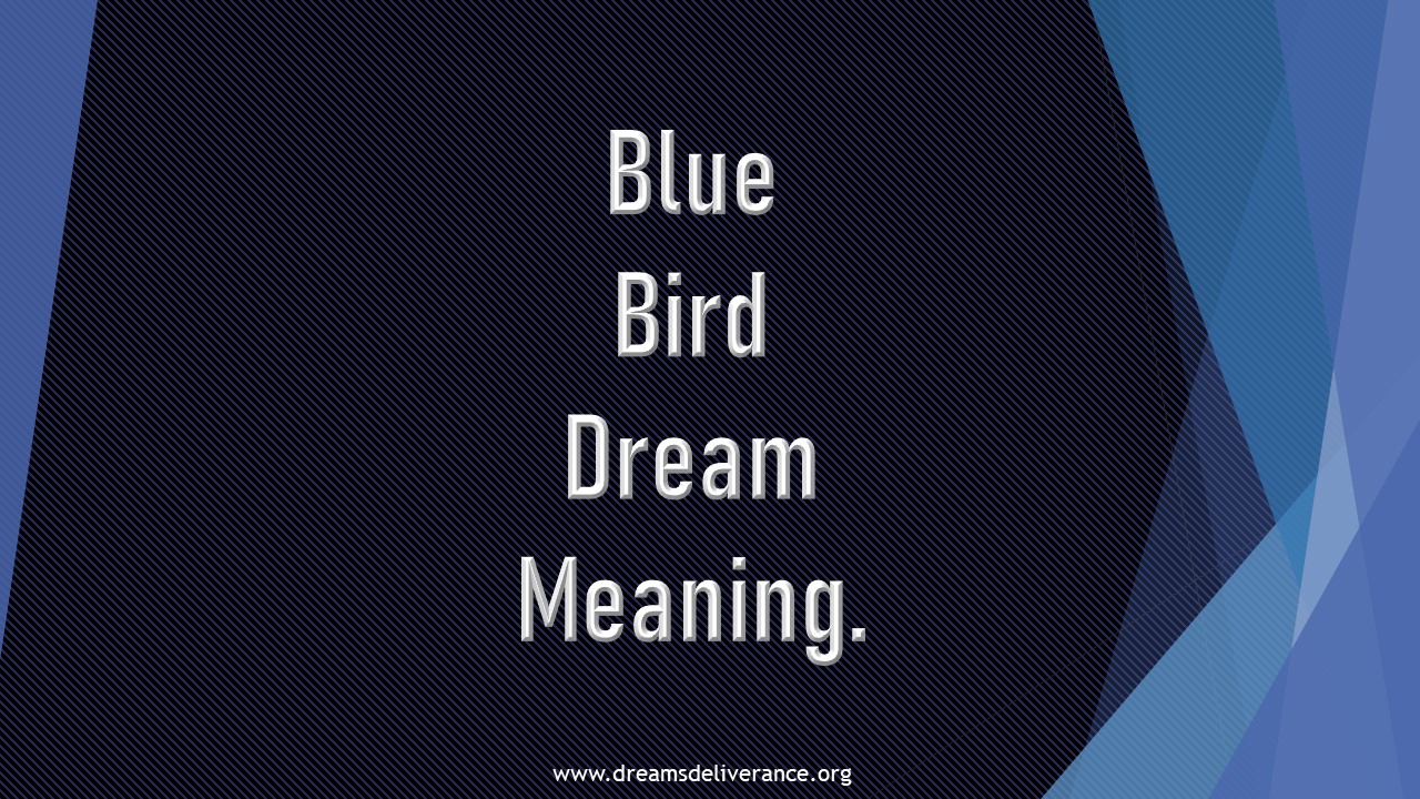 Blue Bird Dream Meaning.