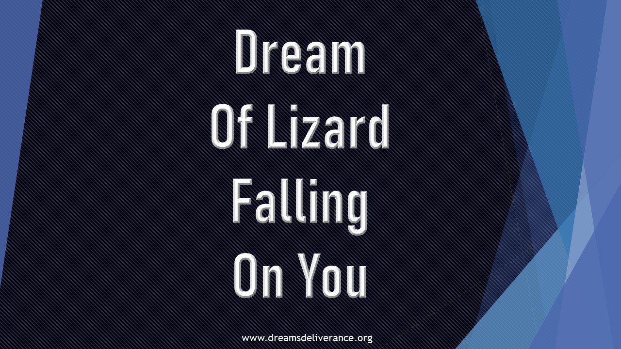 Dream Of Lizard Falling On You