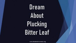 Dream About Plucking Bitter Leaf