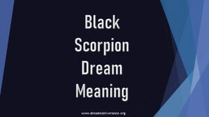 Black Scorpion Dream Meaning
