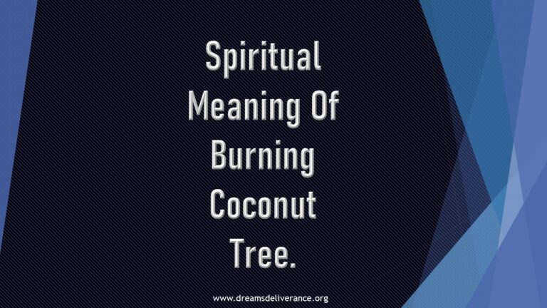 Spiritual Meaning Of Burning Coconut Tree.