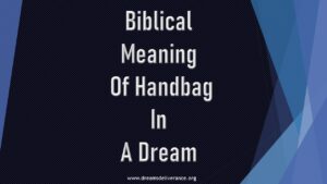 Biblical Meaning Of Handbag In A Dream