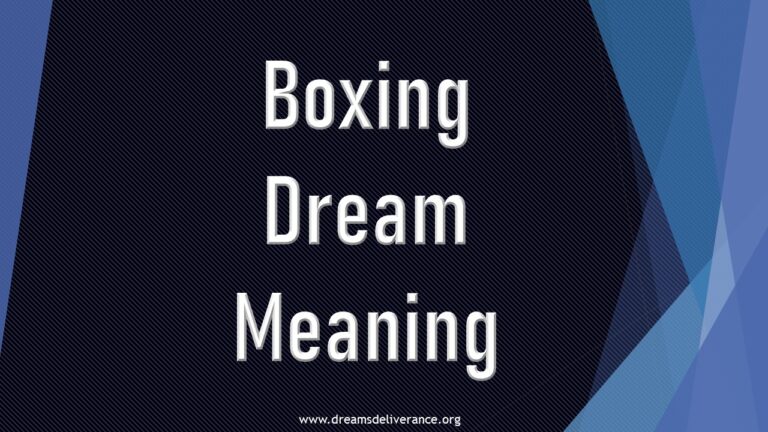 Boxing Dream Meaning.