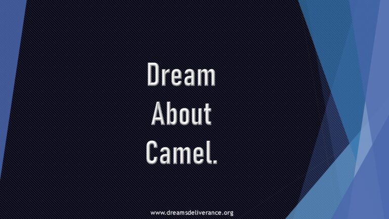 Dream About Camel.