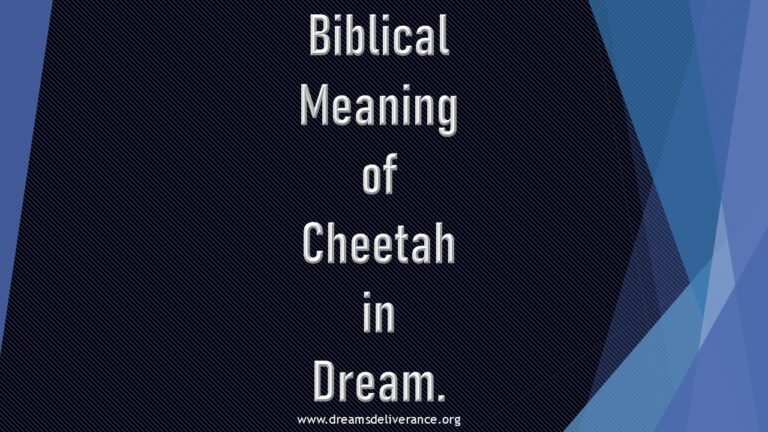 Biblical Meaning of Cheetah in Dream.