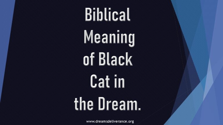 Biblical Meaning of Black Cat in the Dream.