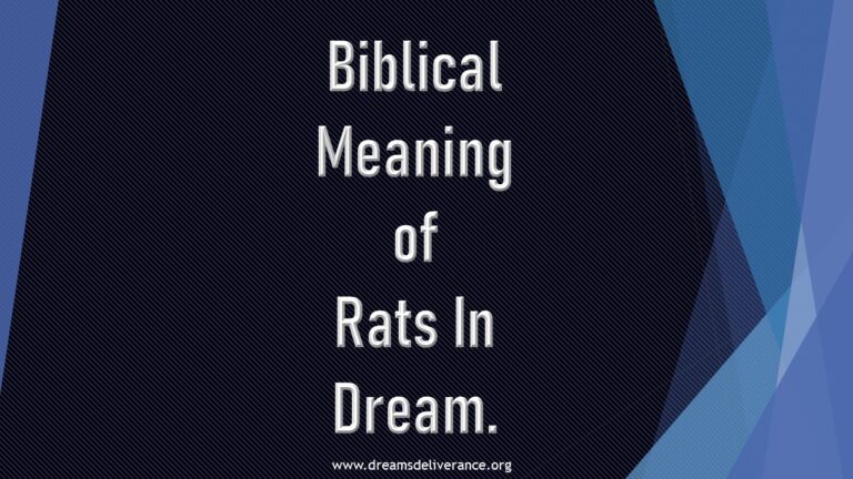 Biblical Meaning of Rats In Dream.