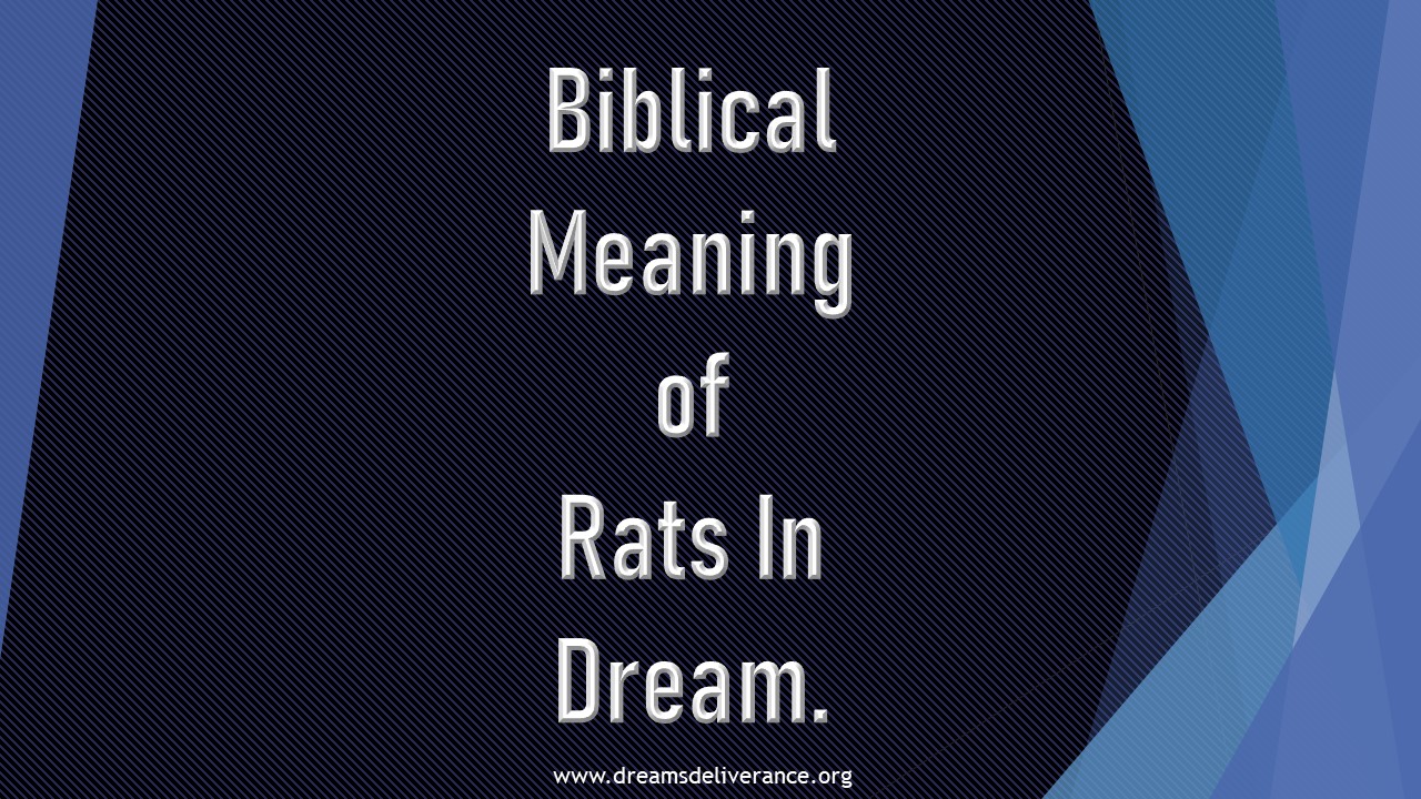 Biblical Meaning of Rats In Dream.