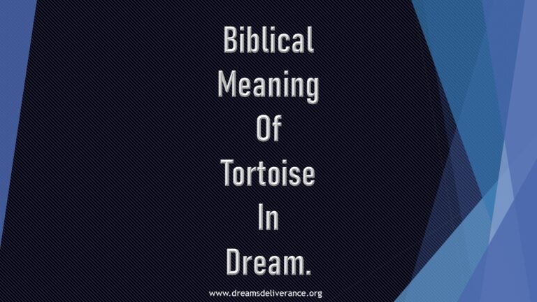 Biblical Meaning Of Tortoise In Dream.