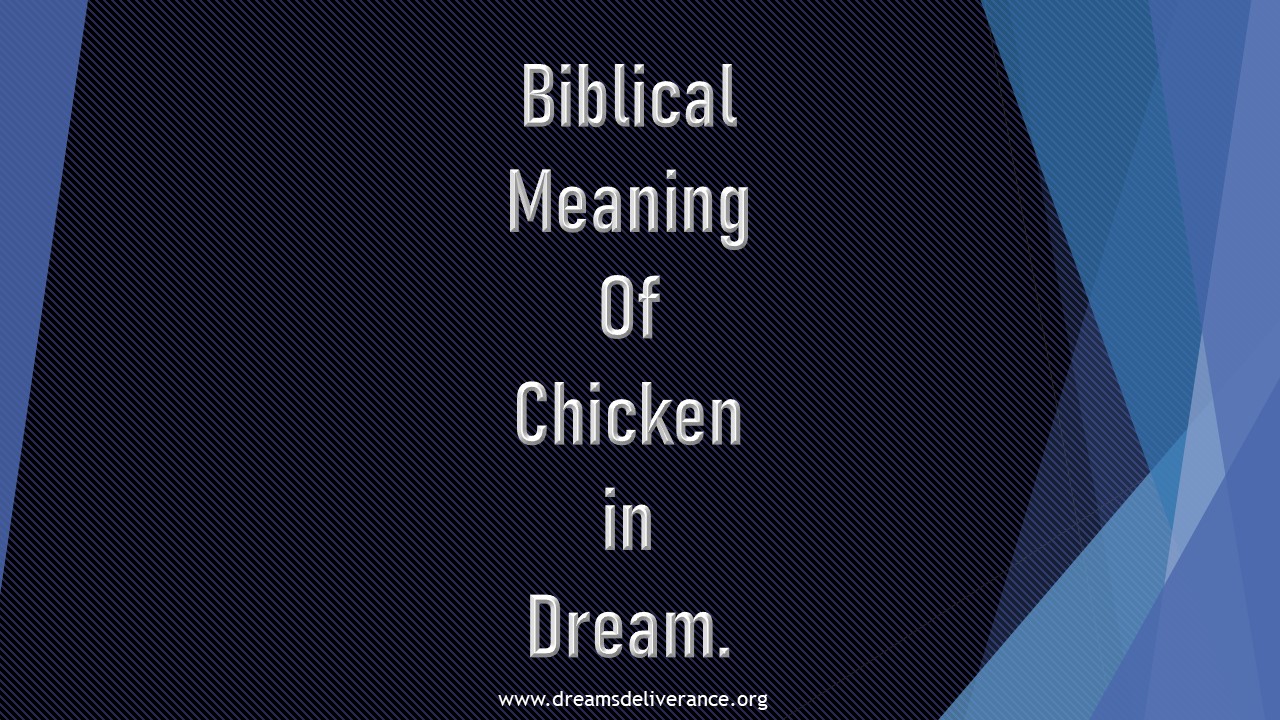 Biblical Meaning Of Chicken in Dream.