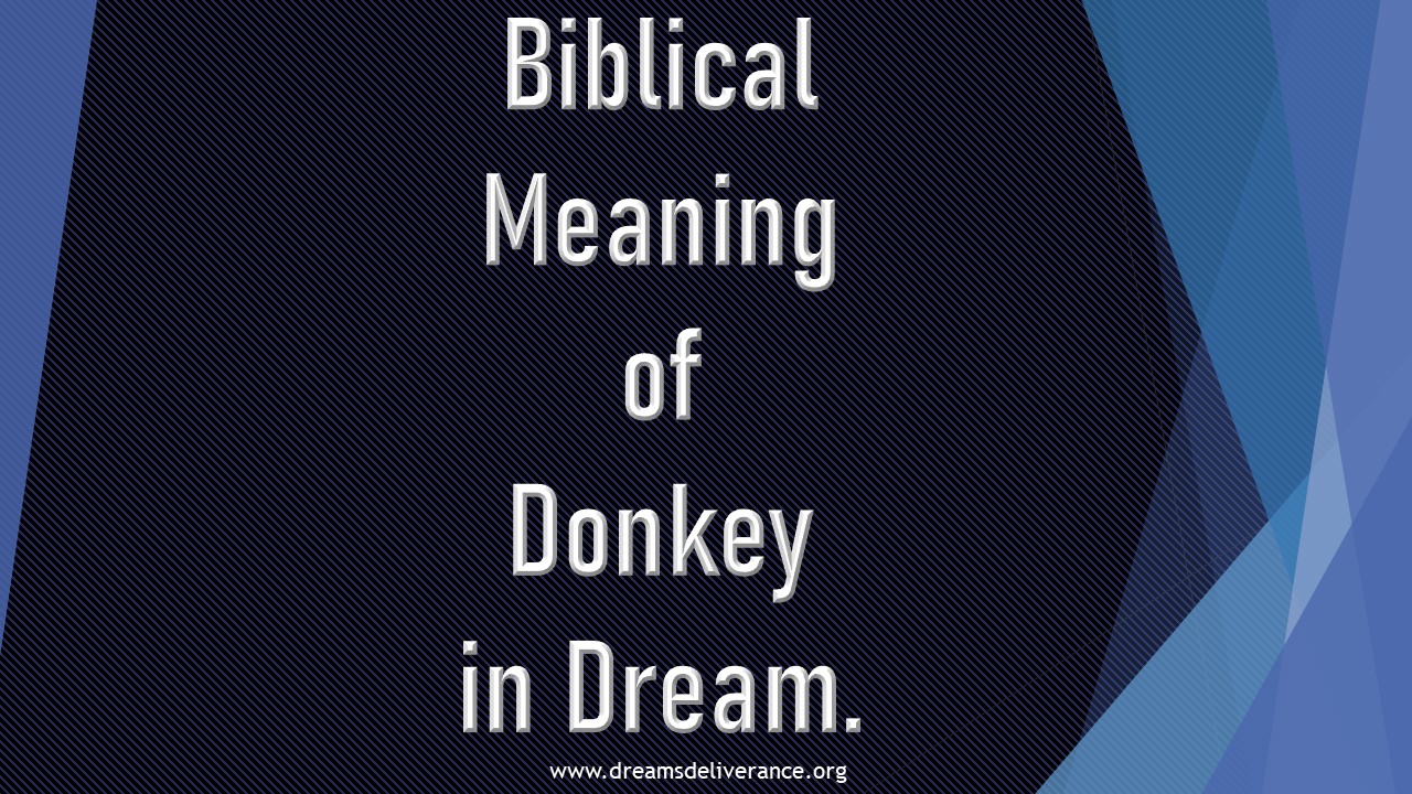 Biblical Meaning of Donkey in Dream.