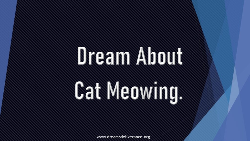 Dream About Cat Meowing.