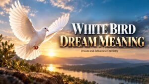 white birds represent good symbolism, but they can be negative if they attack you or you are not stable within you