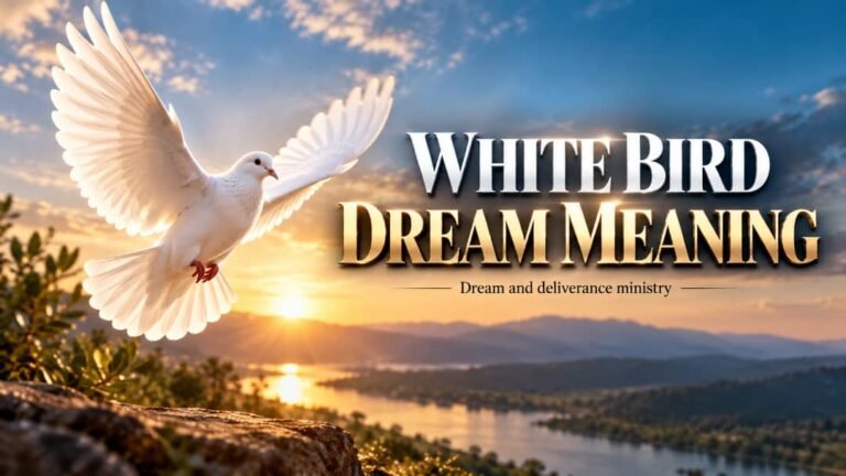 white birds represent good symbolism, but they can be negative if they attack you or you are not stable within you