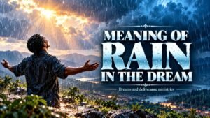 Rain in a dream can represent open heaven, revival, new beginnings, blessings, abundance, cleansing, purification, healing, and growth.